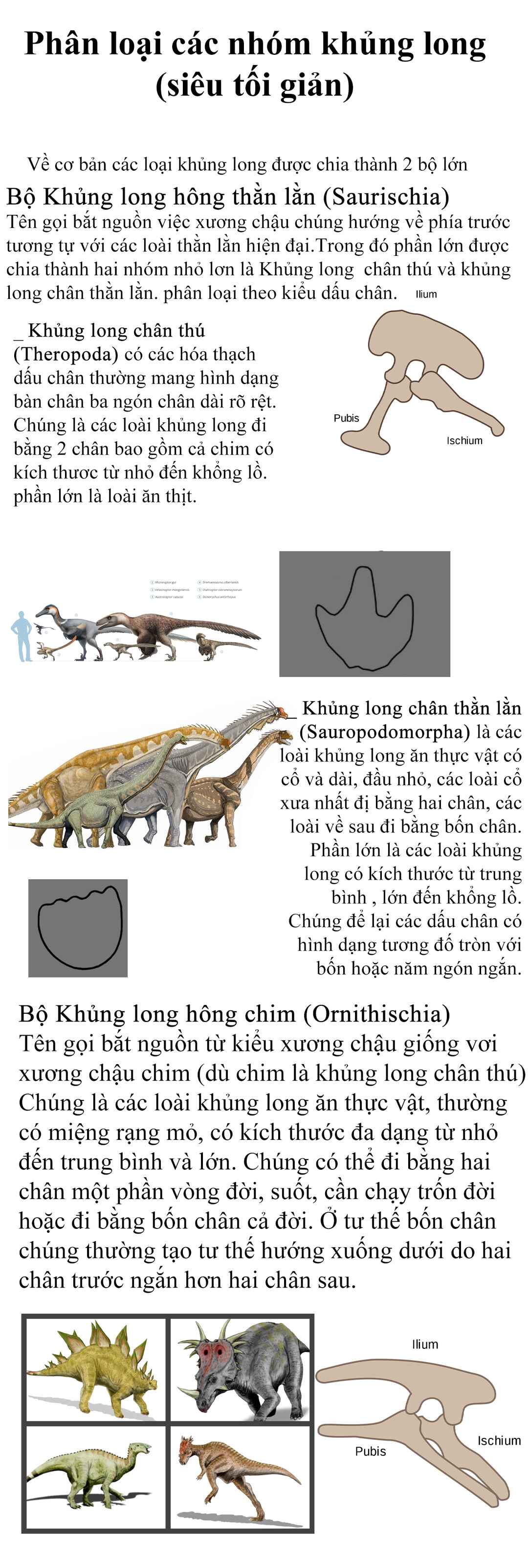 Trang 55 — Chương 1 · Chương 1: Bé Yuki ngọt ngào được nuông chiều